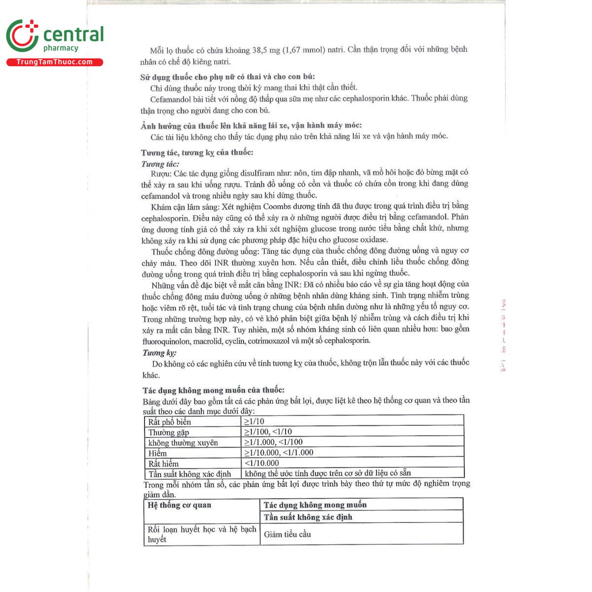 faldobiz 500 5 C1447