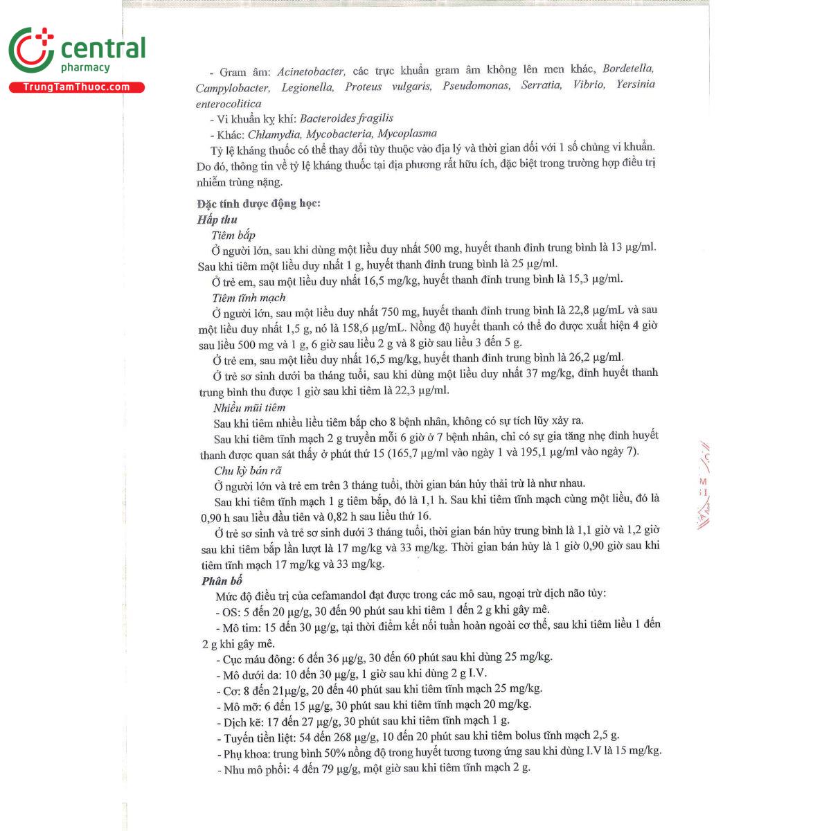 faldobiz 500 7 C1043