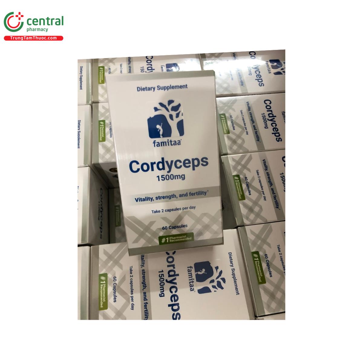 famitaa cordyceps 1500mg 4 G2128