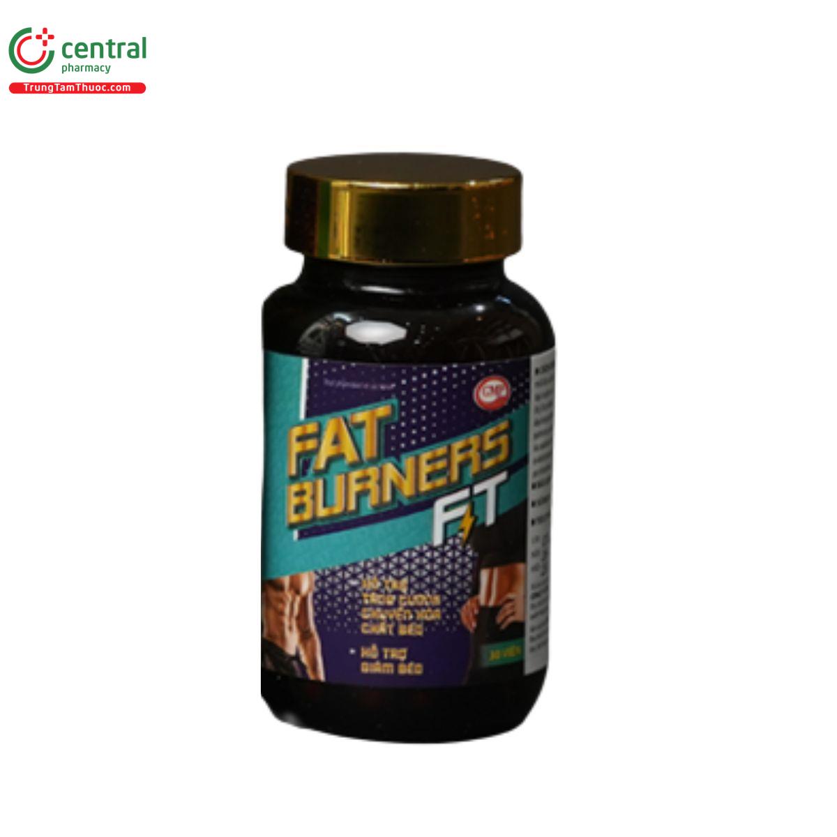 fat burners ft 4 G2813