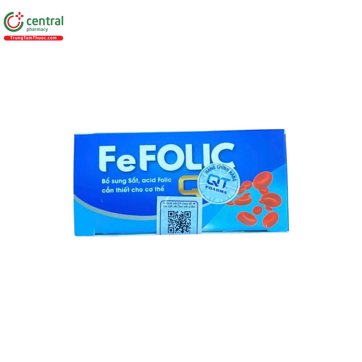 fe folic qt 4 Q6060