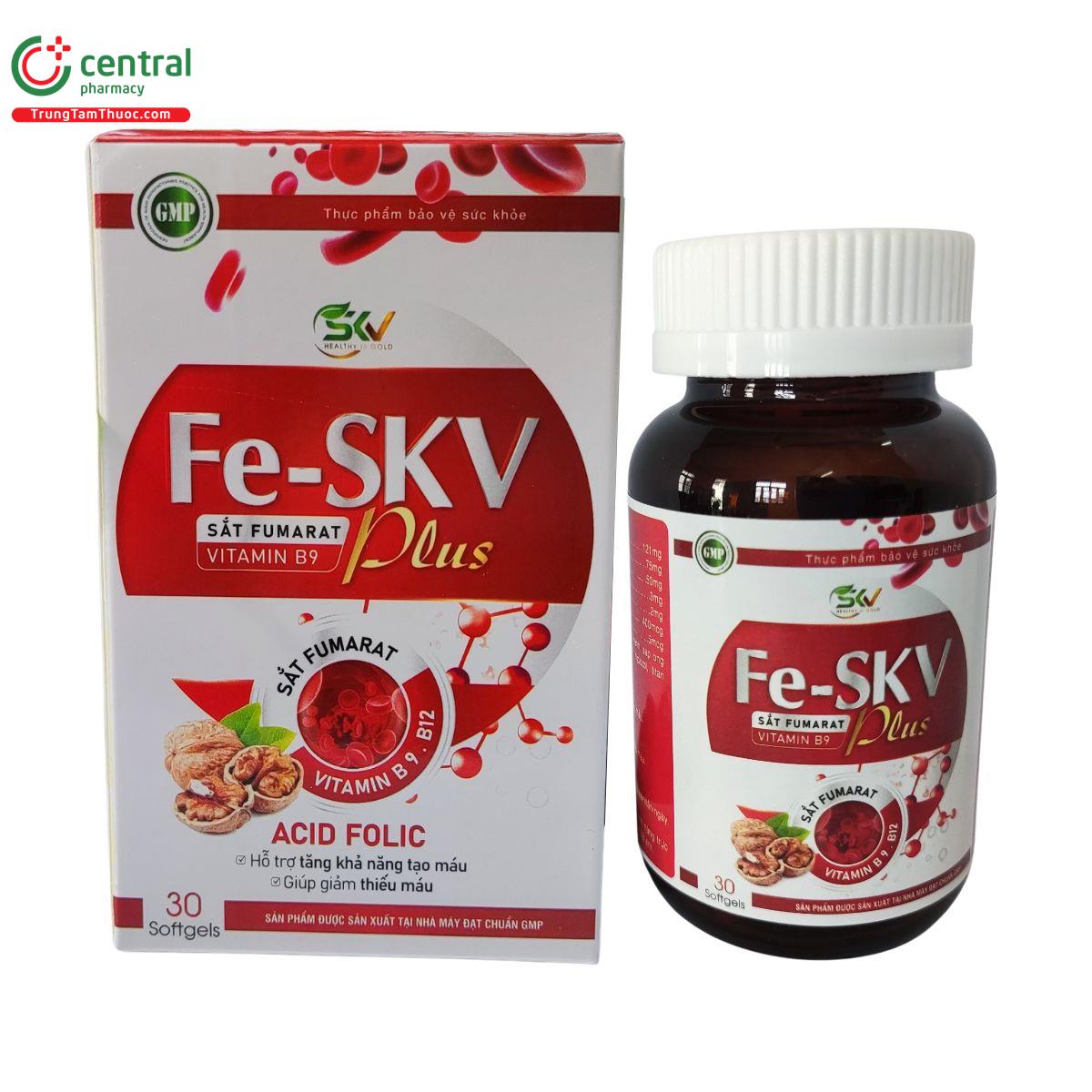 fe skv plus 1 R7866 fe skv plus 1 R7866