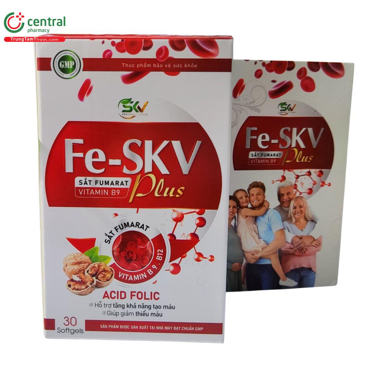 fe skv plus 2 C1513 fe skv plus 2 C1513
