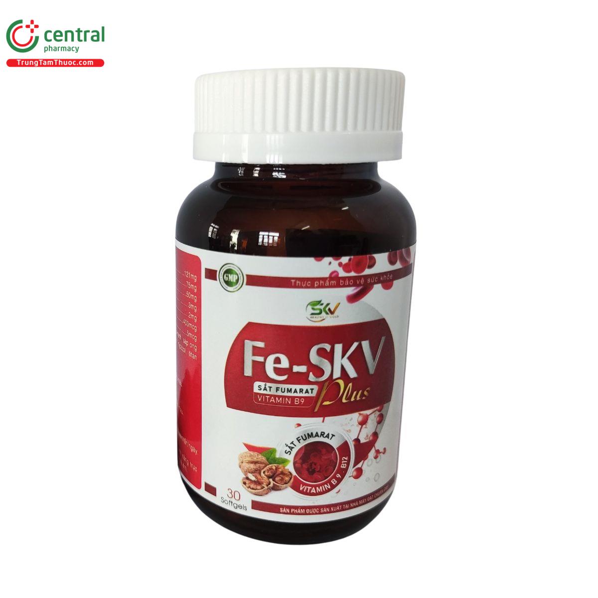 fe skv plus 6 T7141 fe skv plus 6 T7141