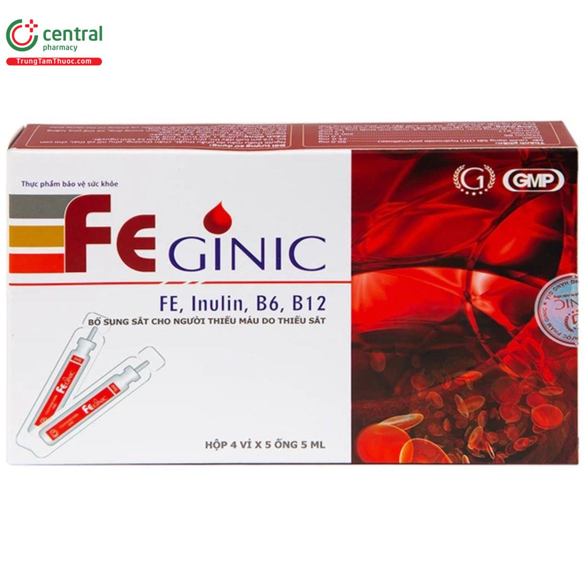 feginic 2 E1116