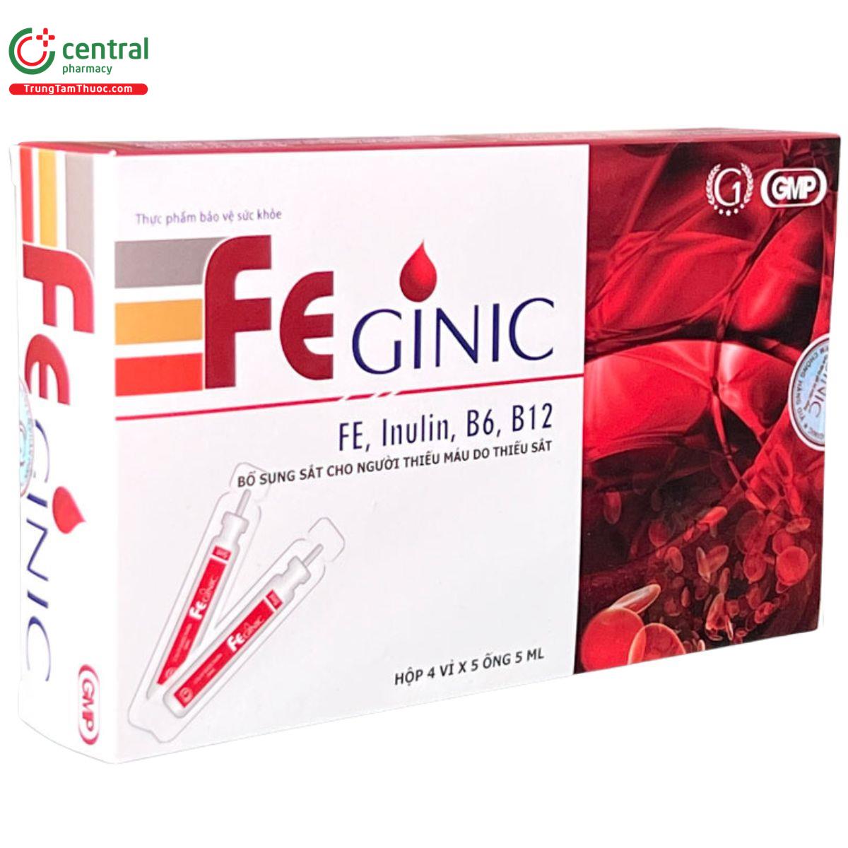 feginic 3 N5424