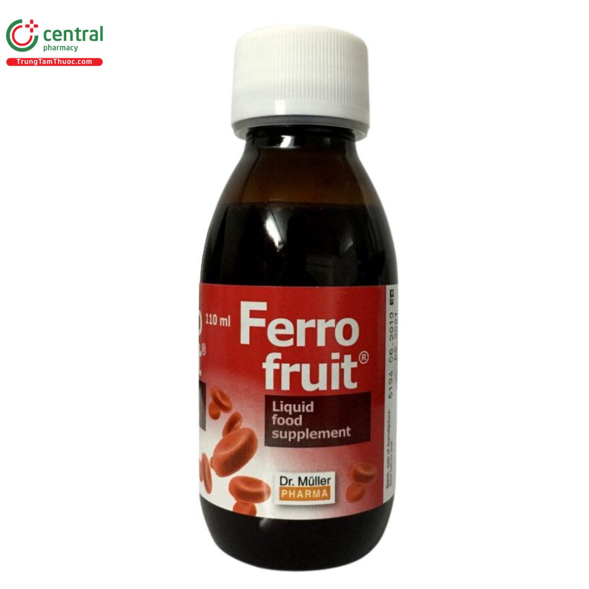 ferro fruit 3 P6037