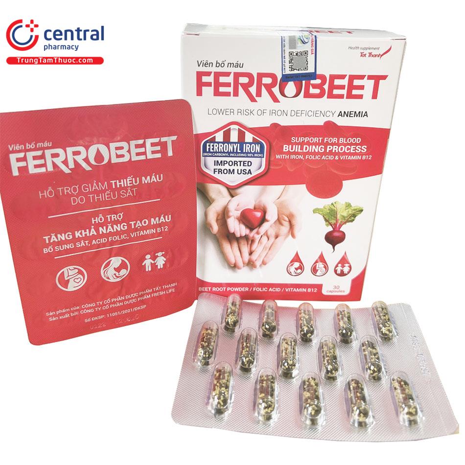 ferrobeet 2 I3782