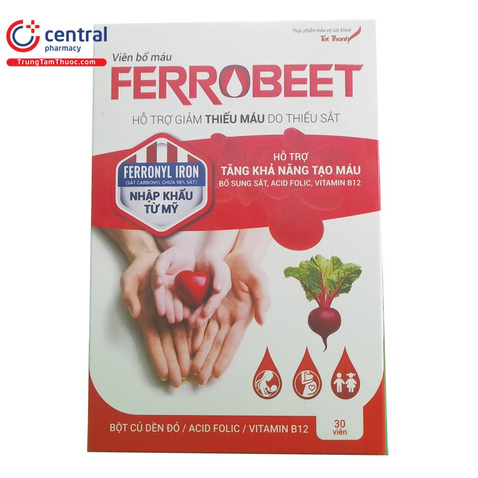 ferrobeet 6 P6107