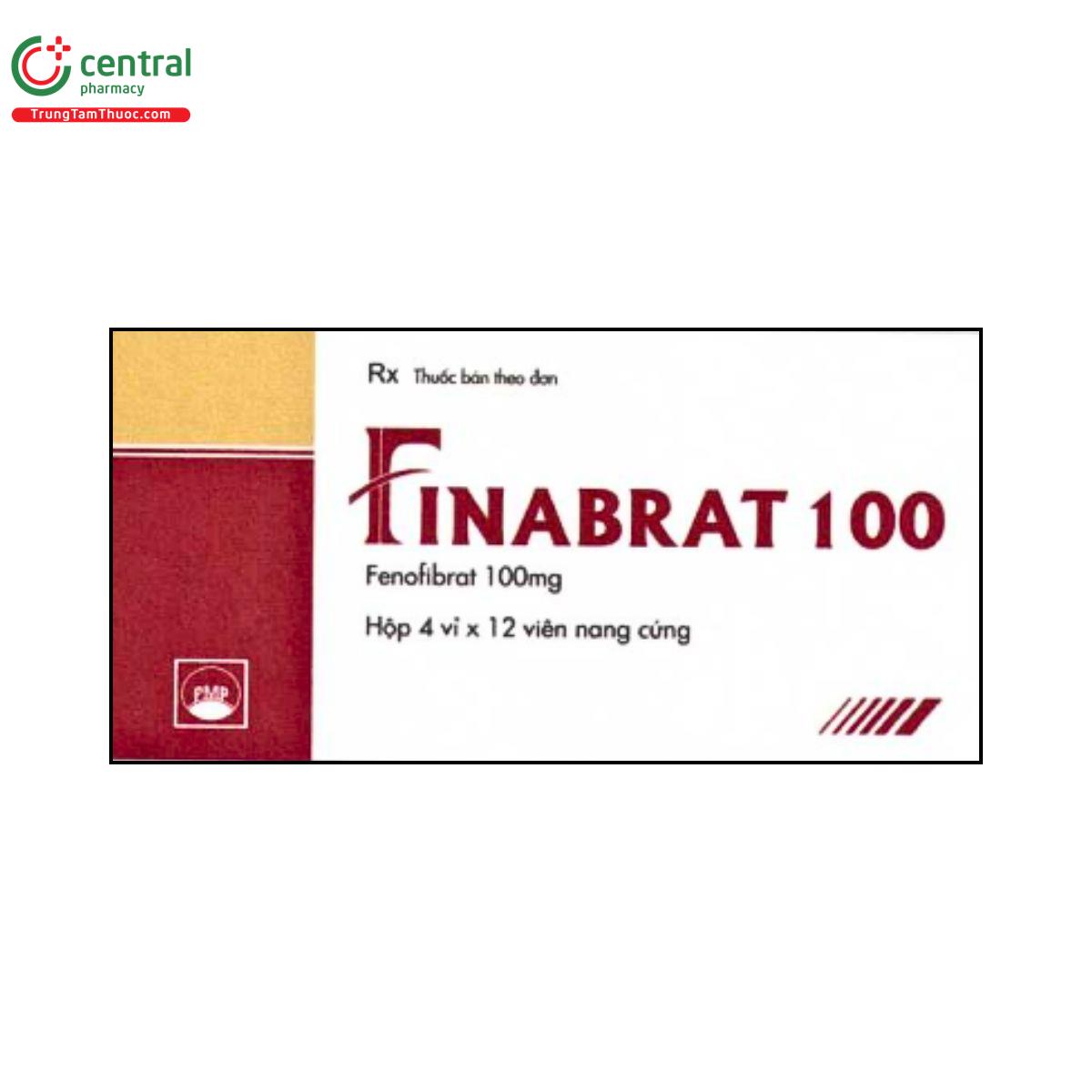 finabrat 100 1 N5530 finabrat 100 1 N5530