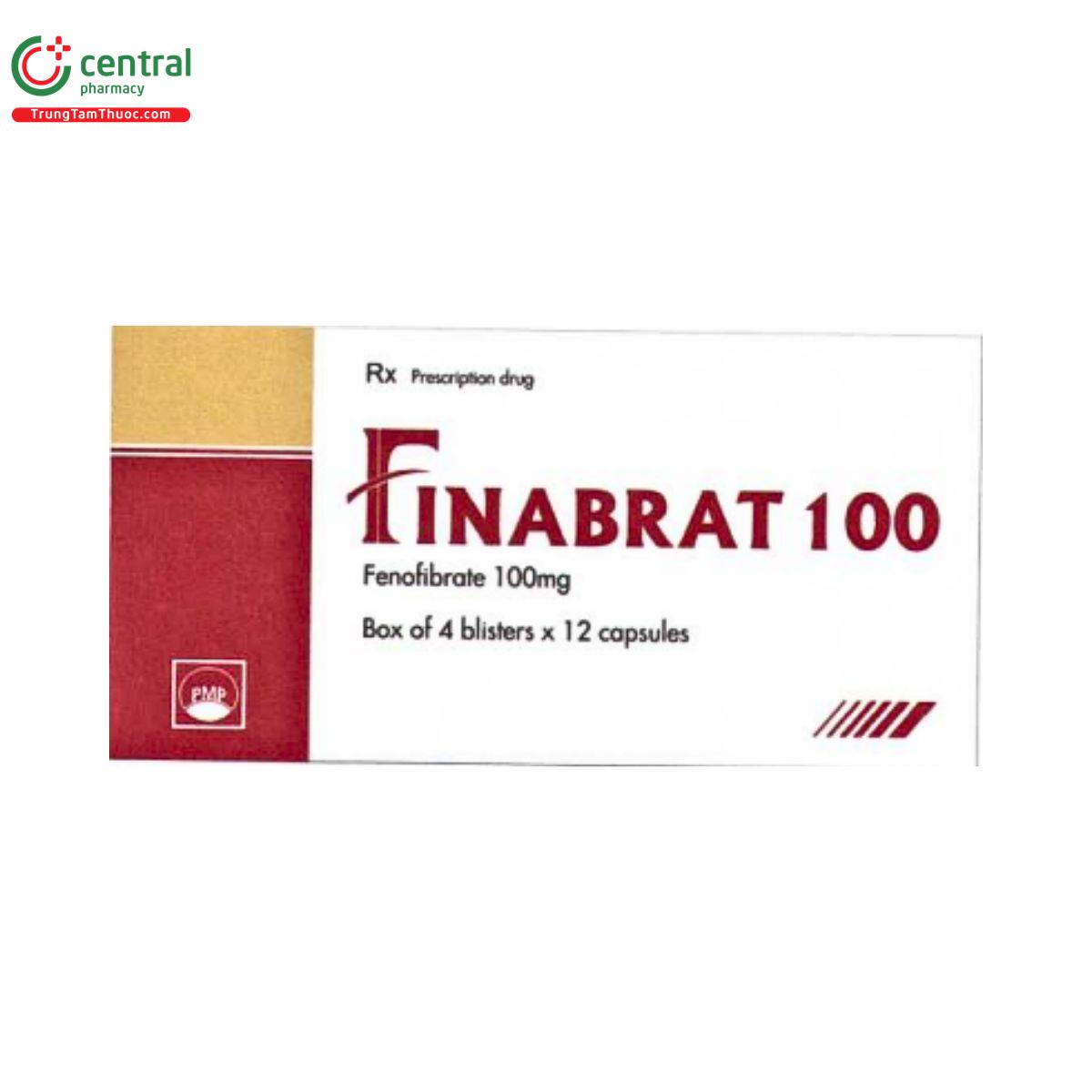 finabrat 100 2 G2883 finabrat 100 2 G2883