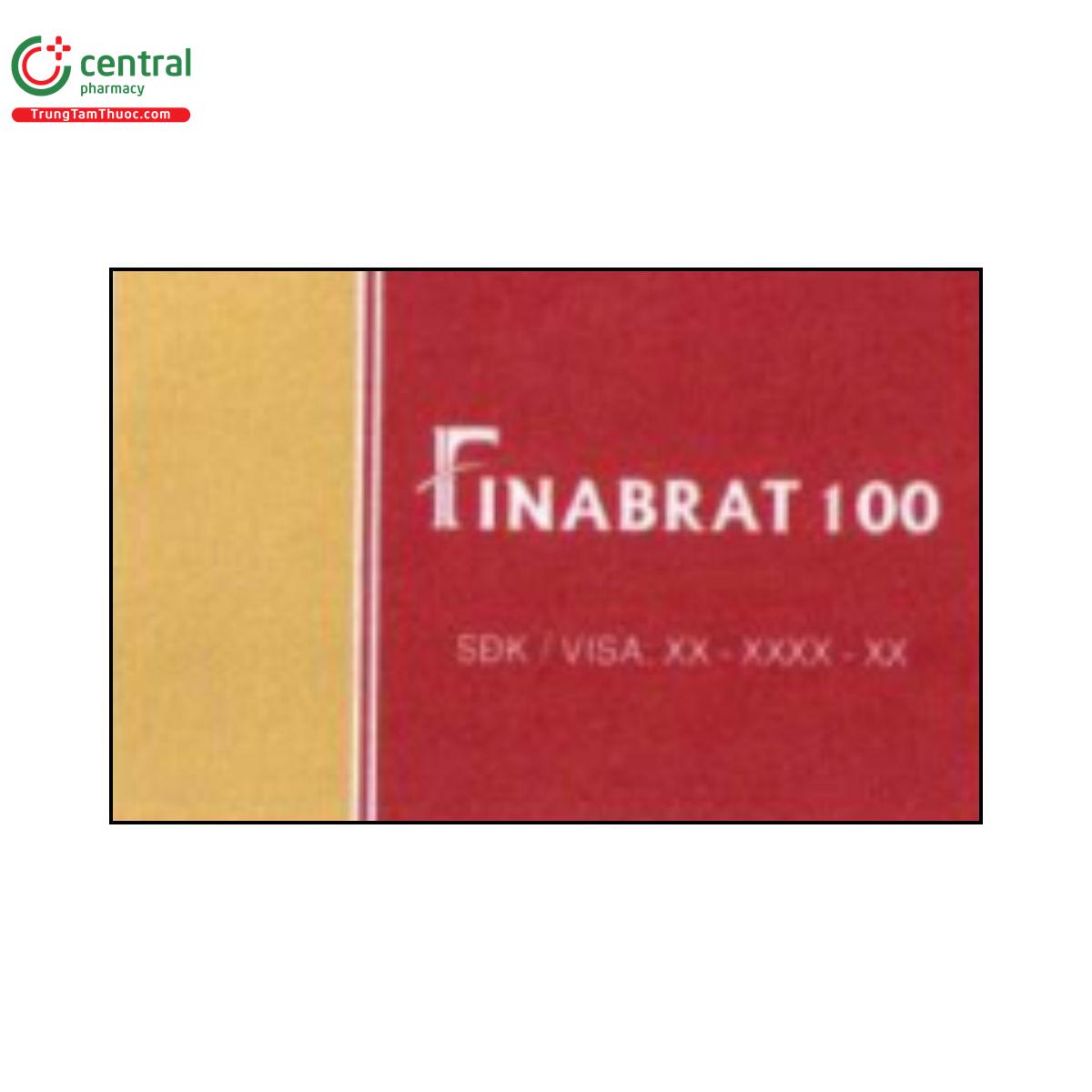 finabrat 100 4 P6520 finabrat 100 4 P6520