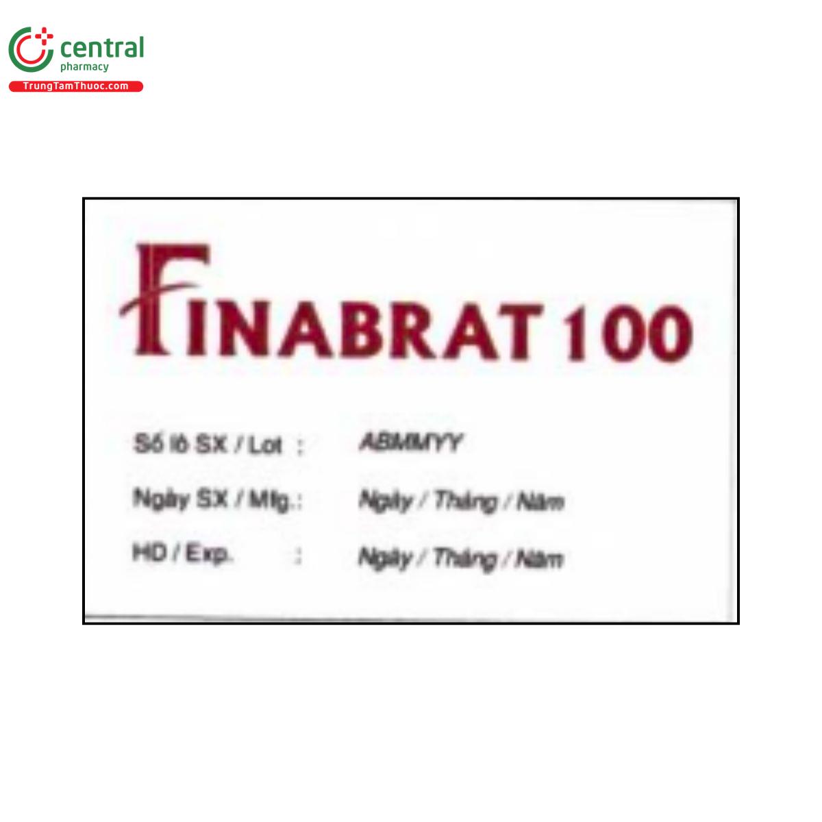 finabrat 100 5 I3772 finabrat 100 5 I3772
