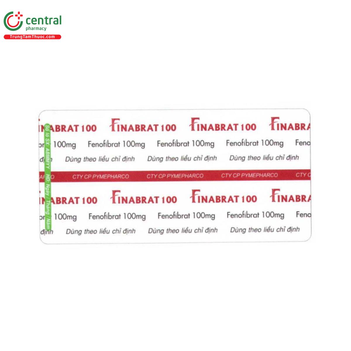 finabrat 100 6 C0145 finabrat 100 6 C0145