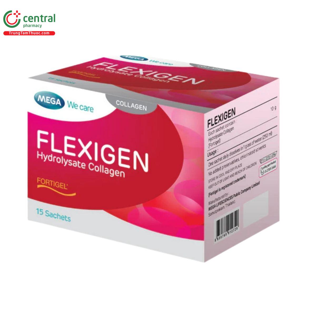 flexigen 2 L4221