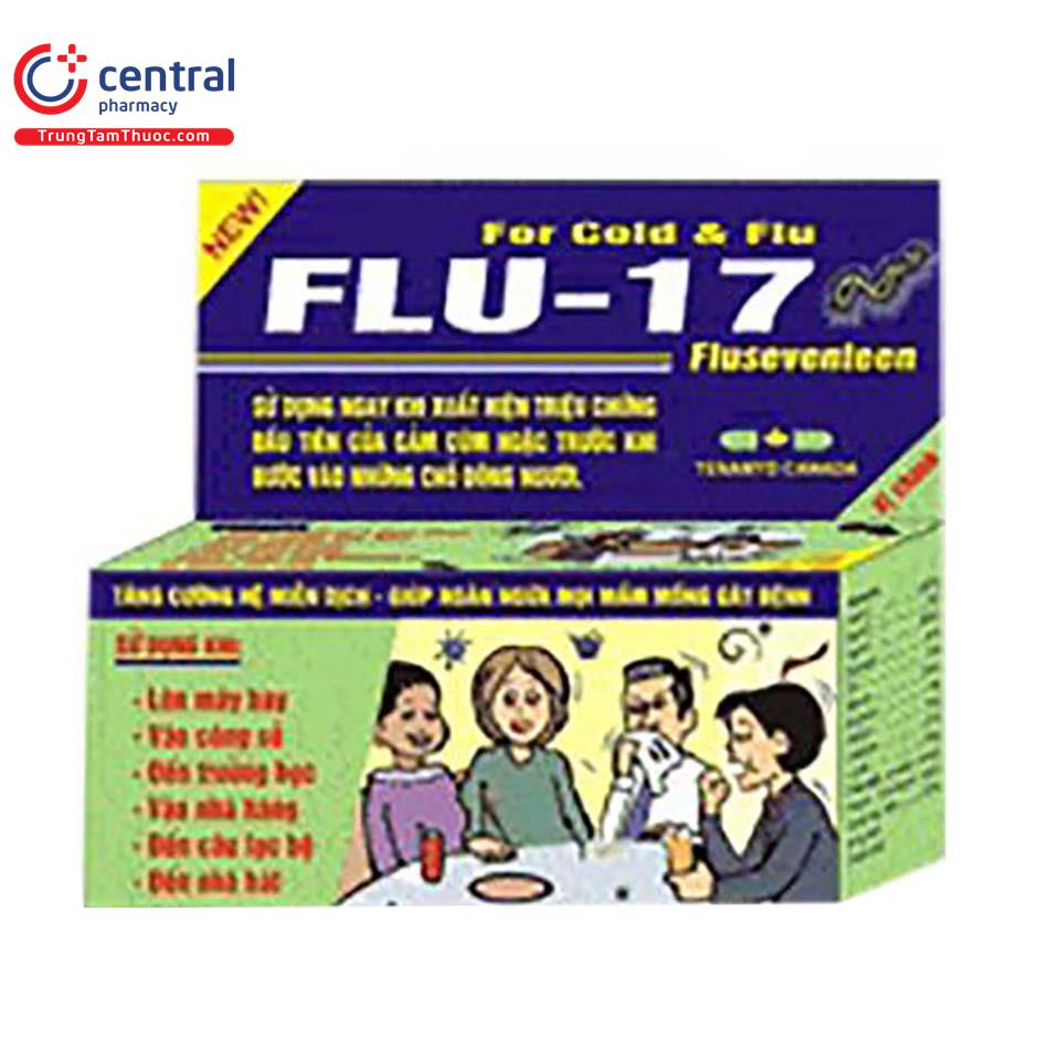 flu 17 2 V8012