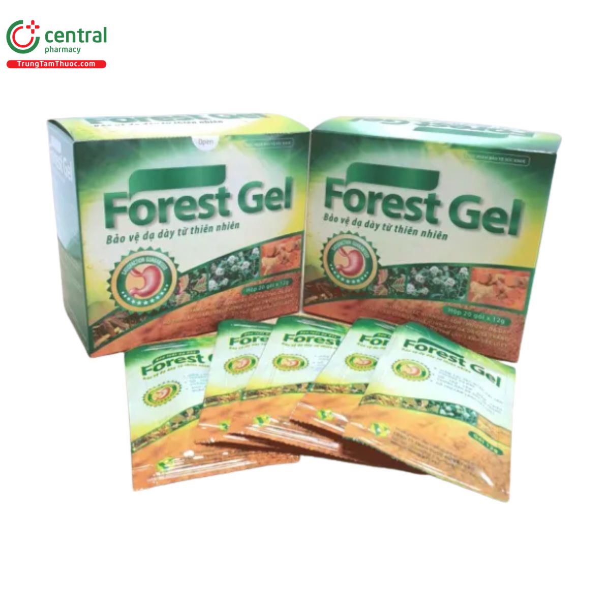 forest gel 5 B0687