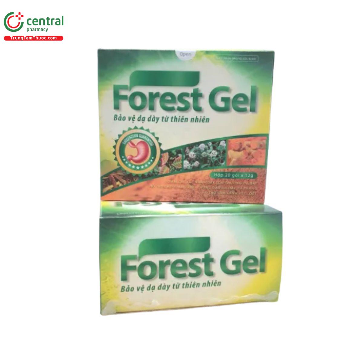 forest gel 6 E1642
