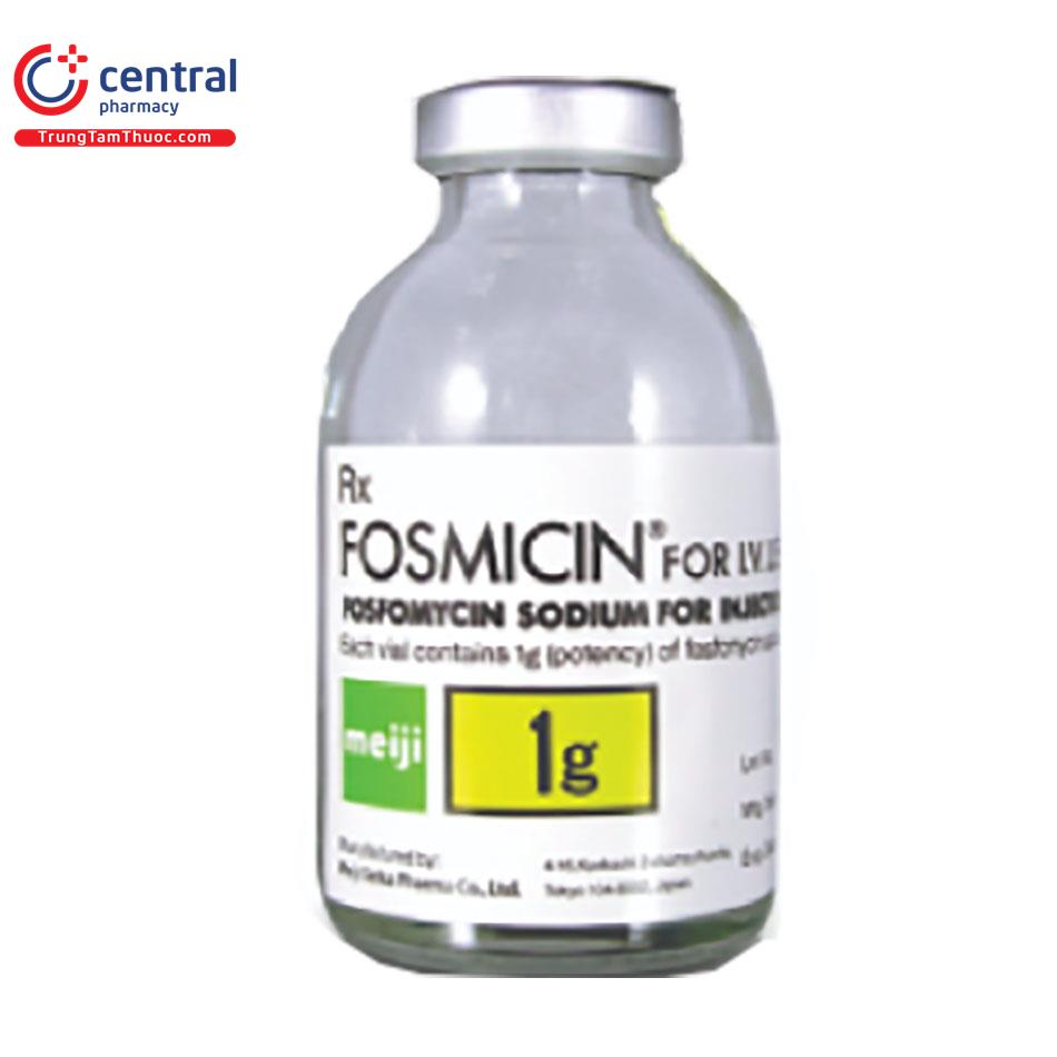 fosmicin 1g 7 V8134