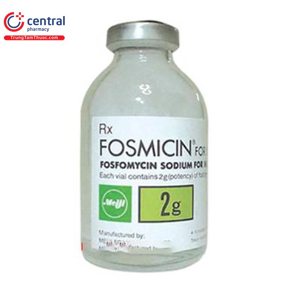 fosmicin 2g 2 R6840