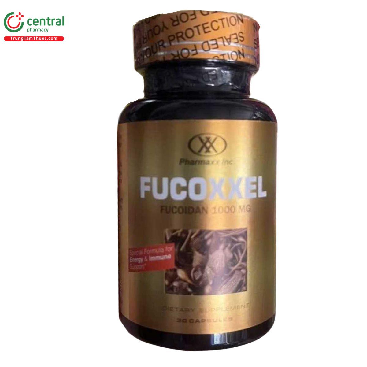 fucoxxel 13 D1776