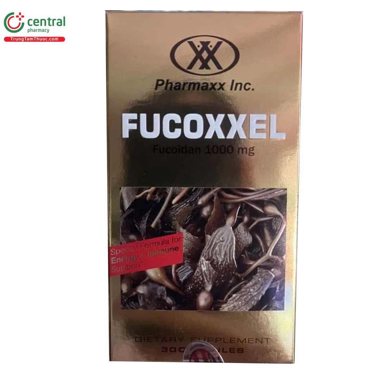 fucoxxel 9 H2446