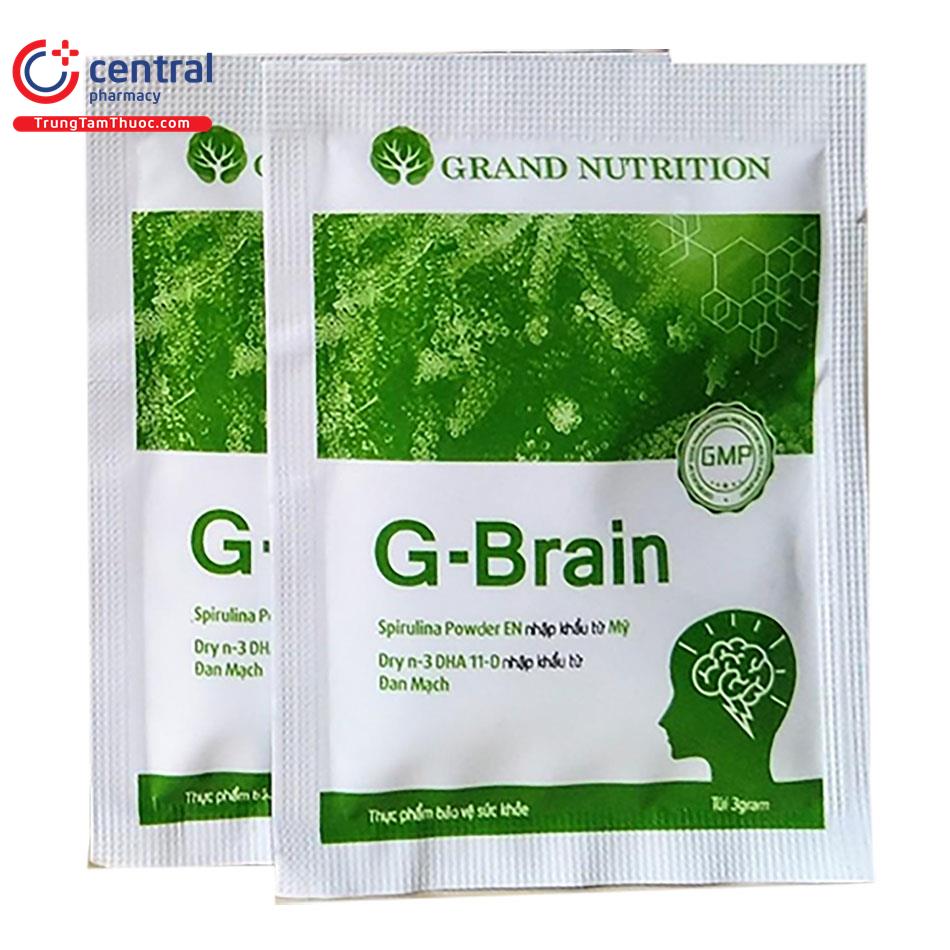 g brain 13 E1670