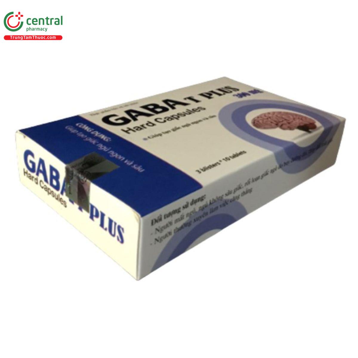 gaba t plus 300mg 2 Q6630