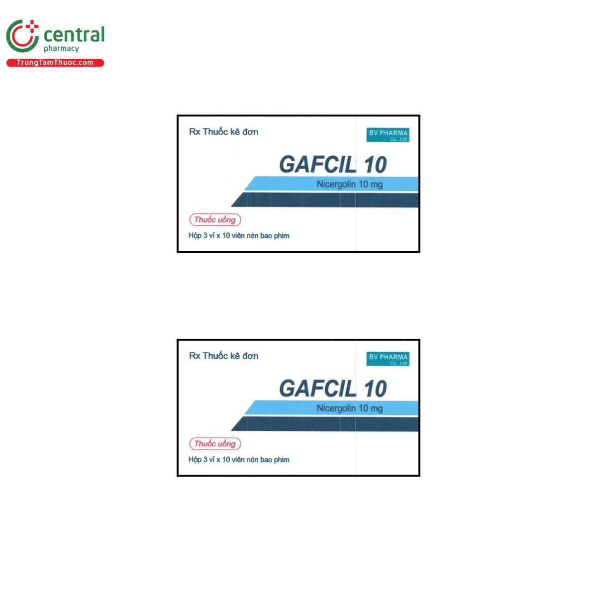 gafcil 10 2 D1008