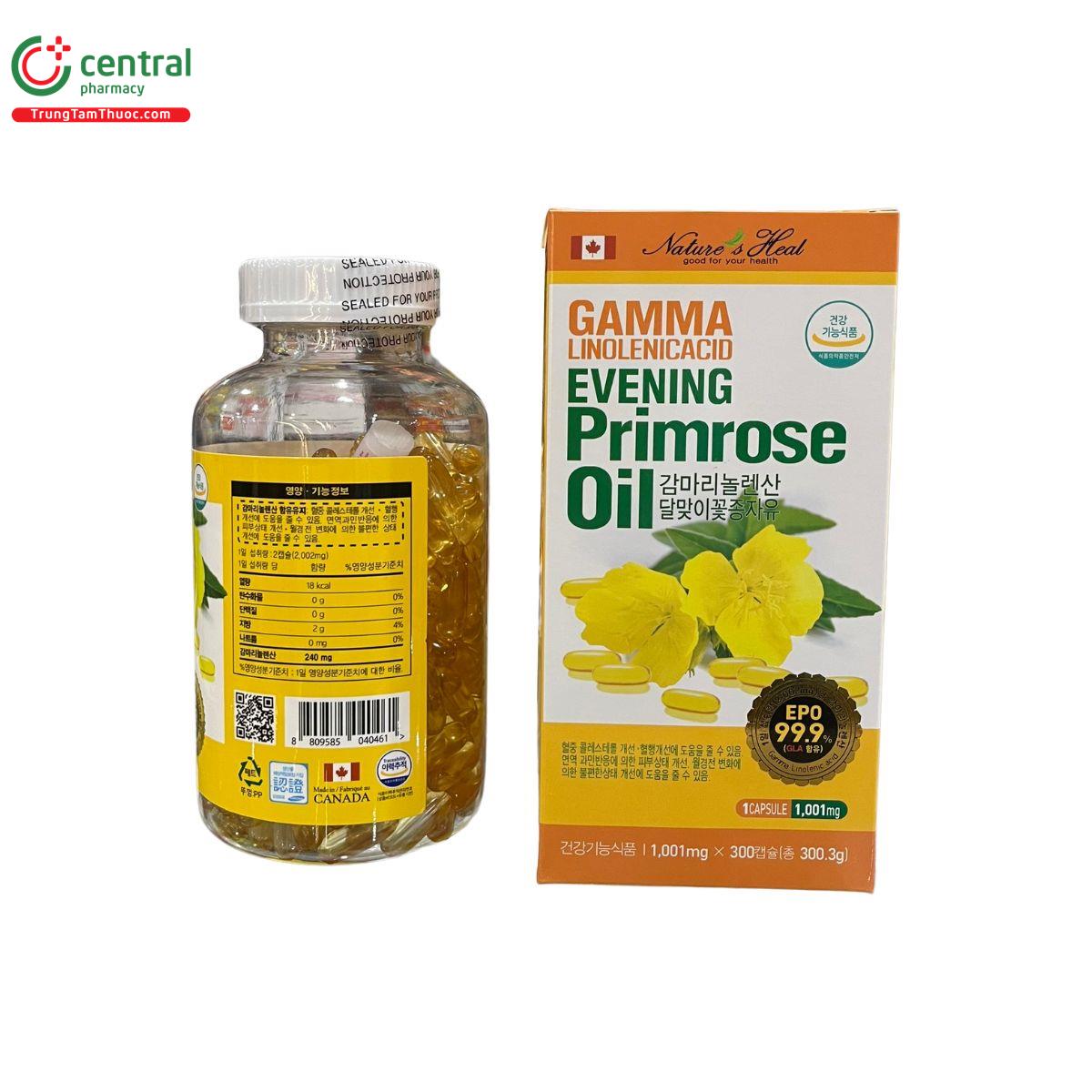 gamma linolenic acid evening primrose oil 1 G2053