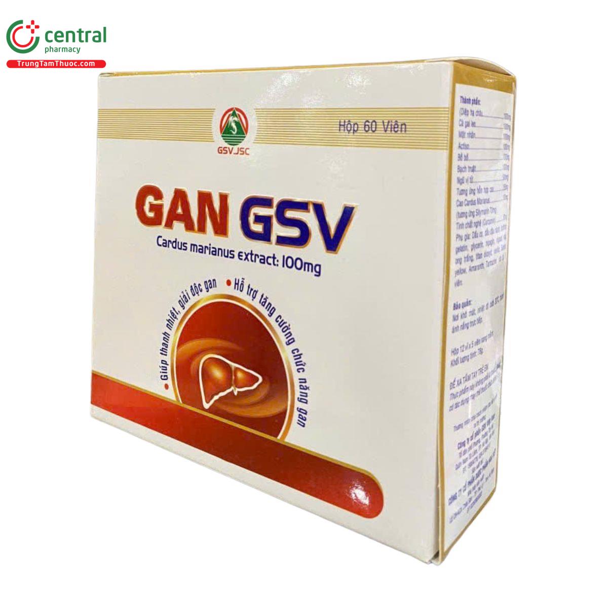 gan gsv 4 I3173