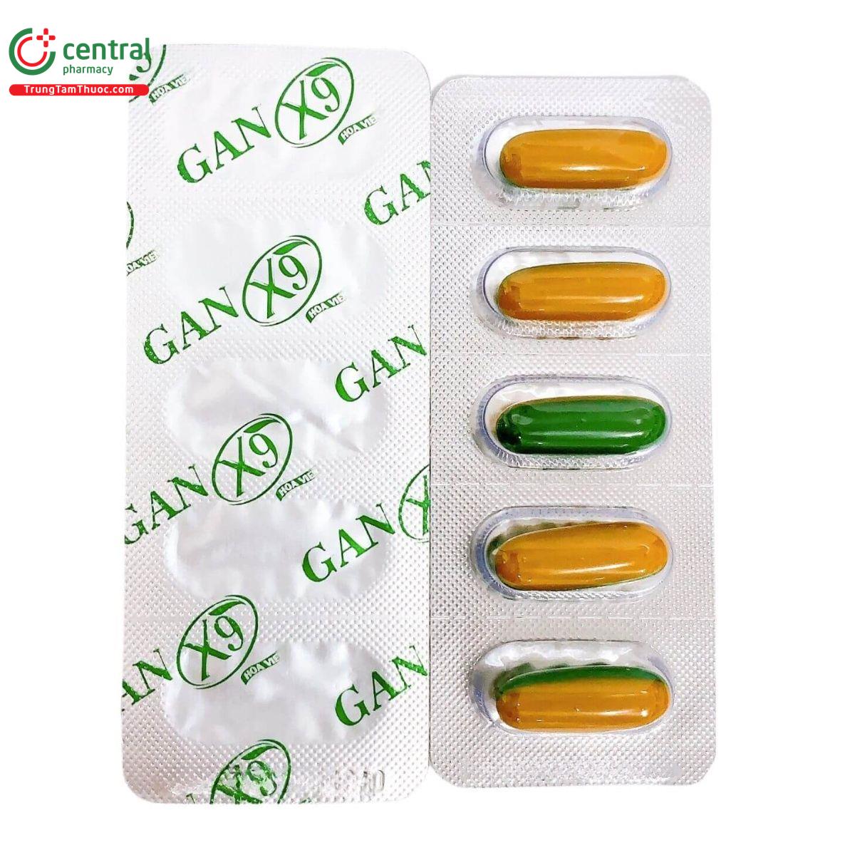 gan x9 hoa vien 1 Q6141