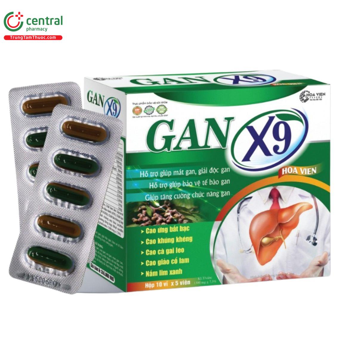 gan x9 hoa vien 4 E1744