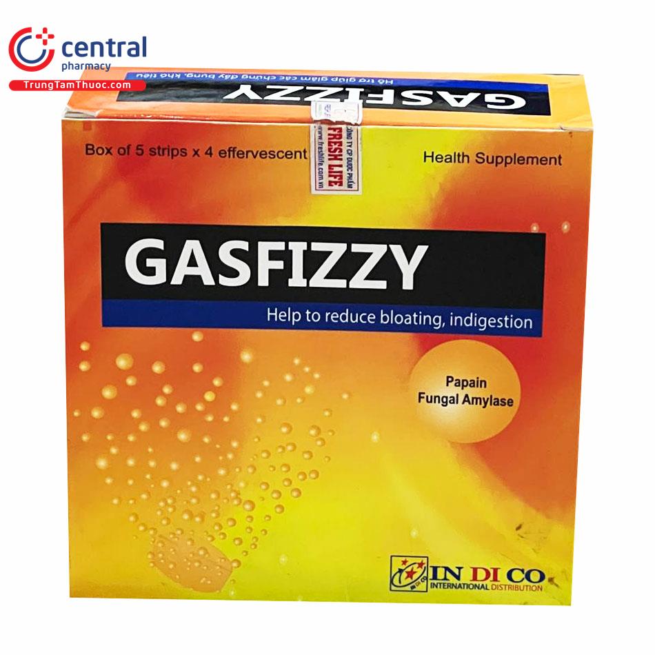 gasfizzy 1 L4708