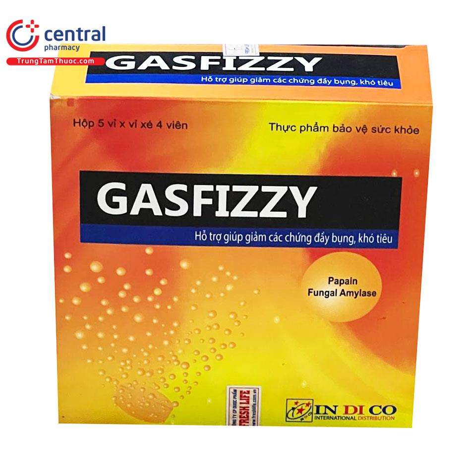 gasfizzy 2 H3248