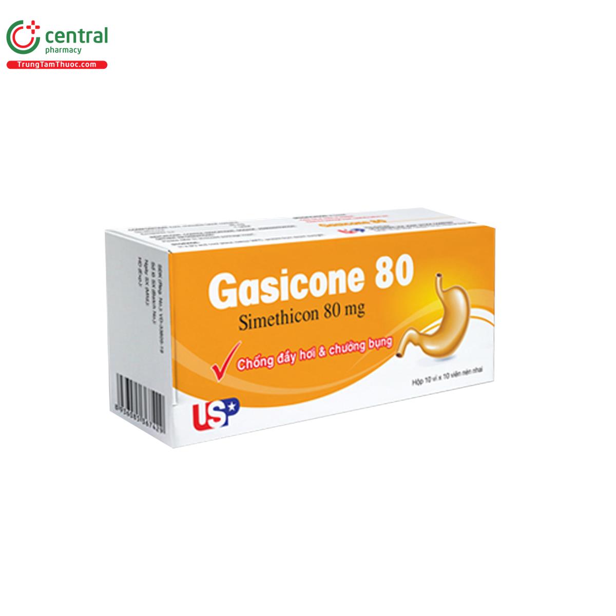 gasicone 80 2 T8384