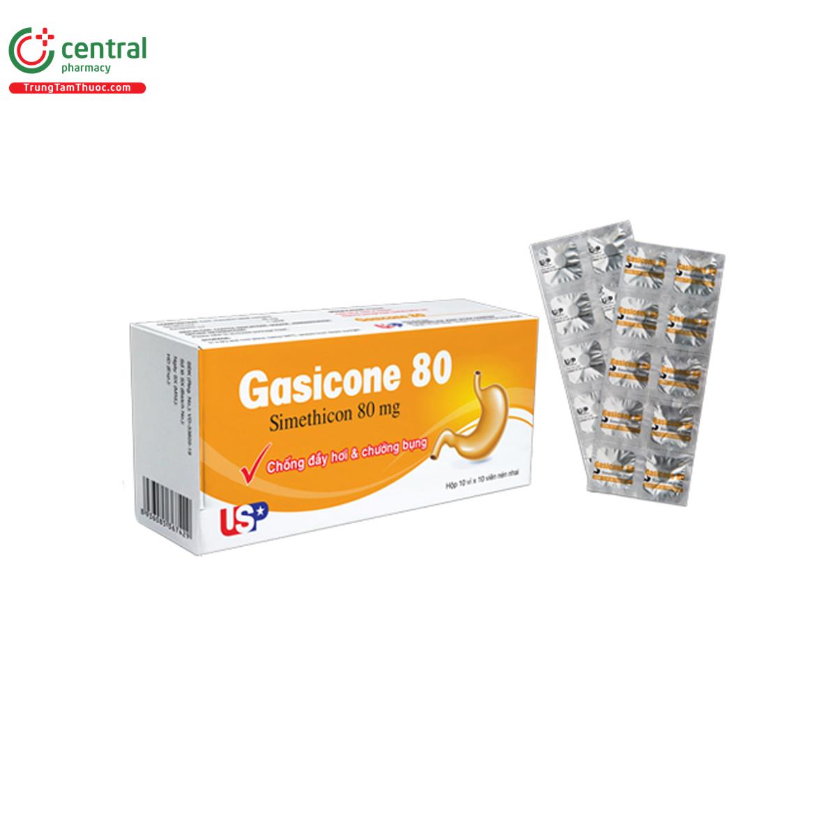 gasicone 80 3 H2273