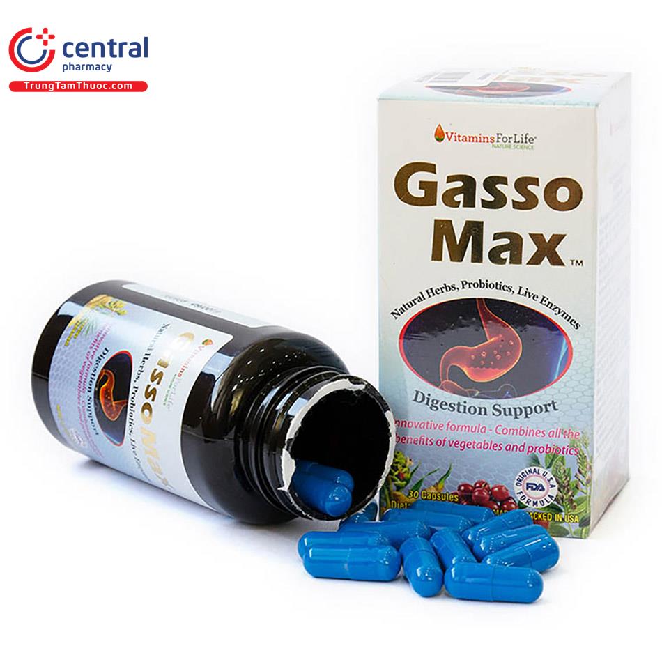 gasso max 2 E1244