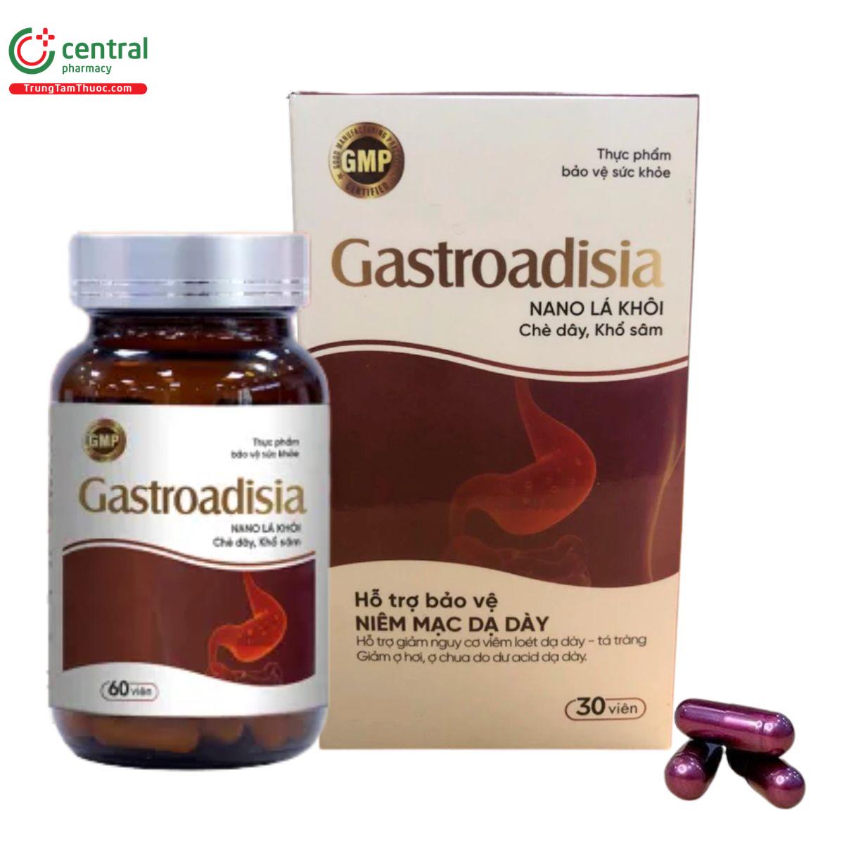 gastroadisia 1 N5531