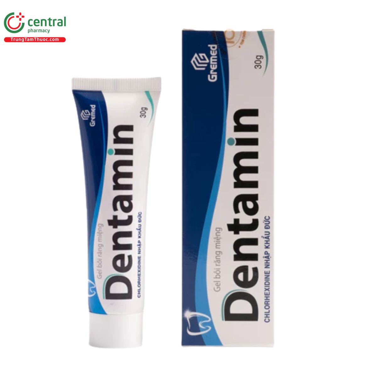 gel boi rang mieng dentamin 1 L4744