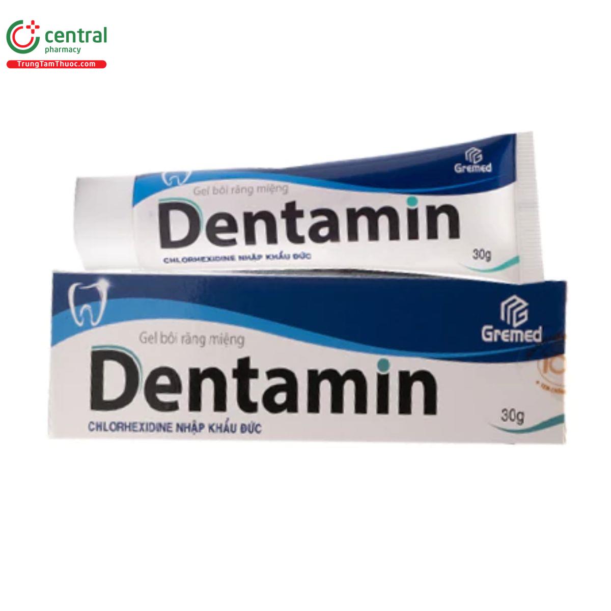 gel boi rang mieng dentamin 2 R7471