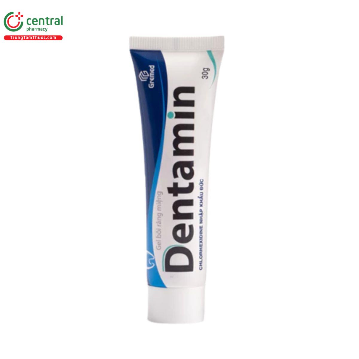 gel boi rang mieng dentamin 5 L4325