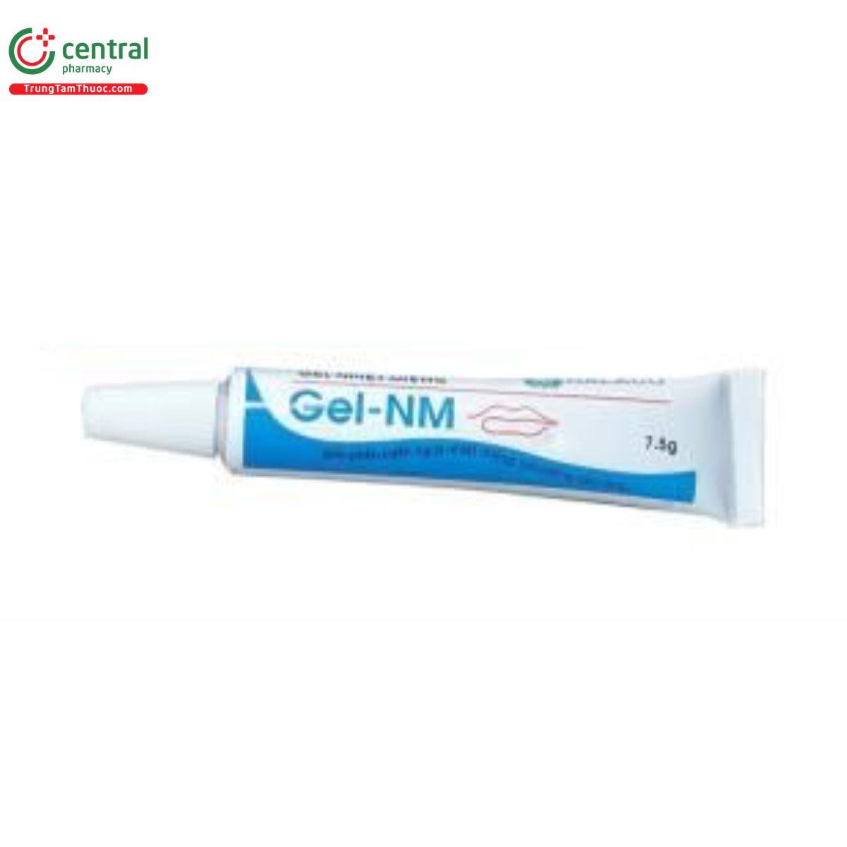gel nm 3 A0602