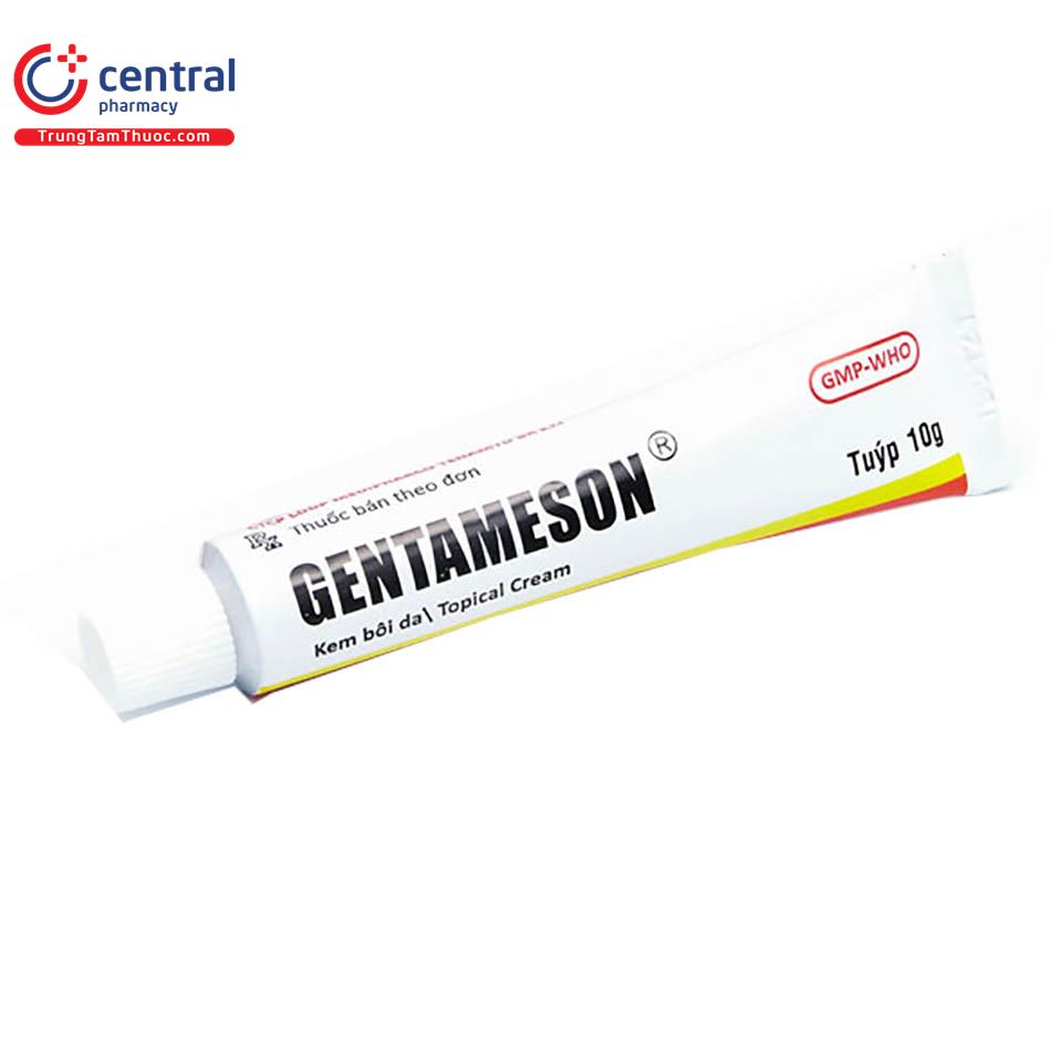 gentameson2 J3122