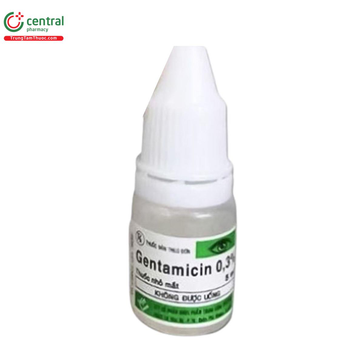 gentamicin 03 vidipha 8 I3250