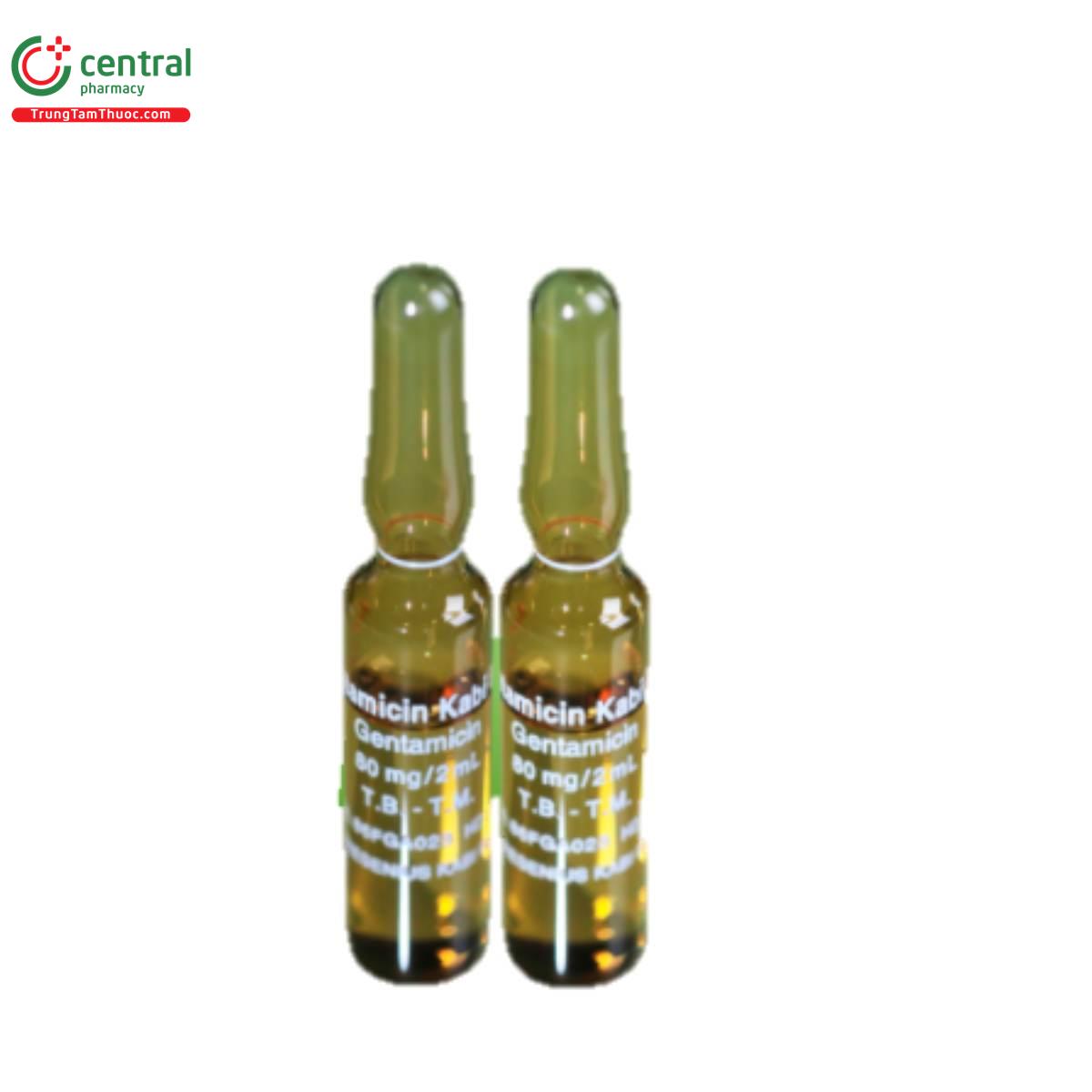 gentamicin kabi 80 mg2ml 8 E1764