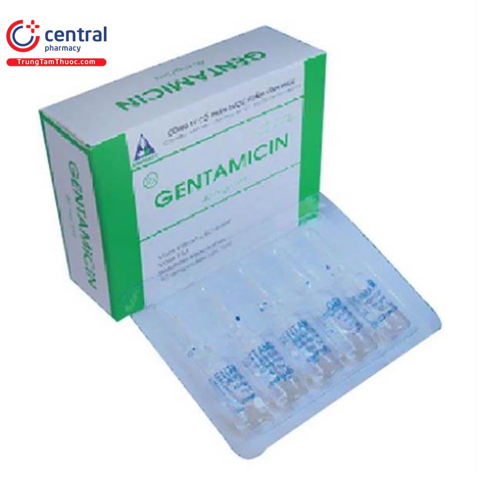 gentamycin 40mg ml vinphaco 1 H3445