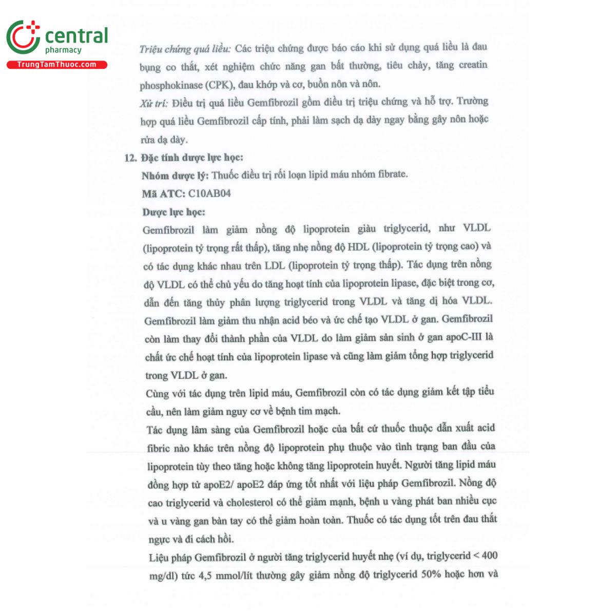 gerozil 300mg 11 C0570