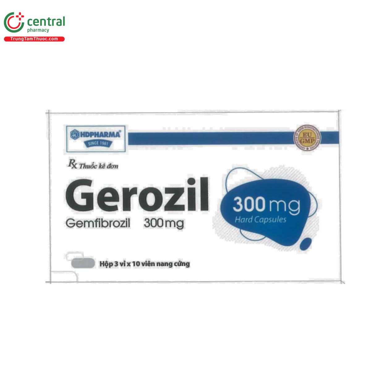 gerozil 300mg 2 T8154