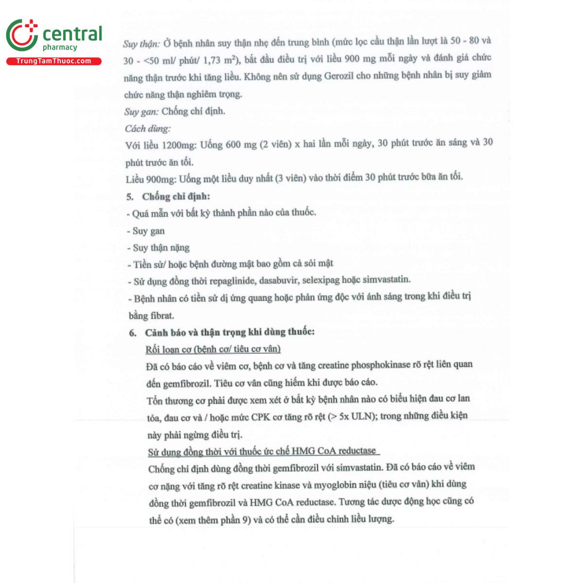 gerozil 300mg 5 N5108